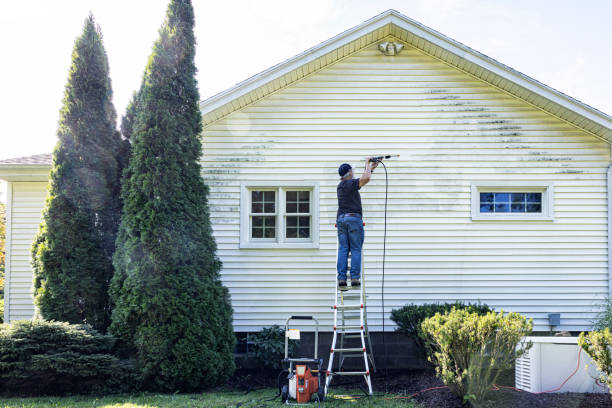 Best Driveway Pressure Washing  in Trumann, AR